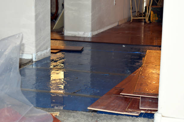 Professional Sewage Cleanup technician working in Cleveland, ND